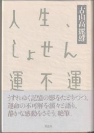 人生、しょせん運不運