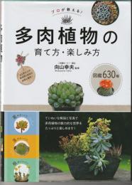 多肉植物の育て方・楽しみ方
