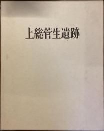上総菅生遺跡