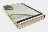 鳥になった少年 : カルリ社会における音・神話・象徴 〈テオリア叢書〉