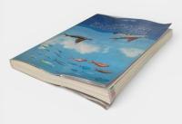 方言でしらべる沖縄の魚図鑑