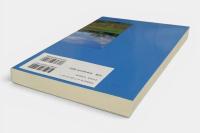 開発人類学 : 基本と実践