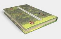 江戸時代パラウ漂流記 : 新史料の民族誌的検証