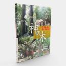 神の木 : 日・韓・台の巨木・老樹信仰