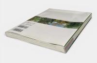 神の木 : 日・韓・台の巨木・老樹信仰