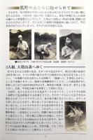 虫たちの熊野 : 照葉樹林にすむ昆虫たち