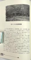 黒タイ年代記 : タイ・プー・サック 〈叢書知られざるアジアの言語文化5〉