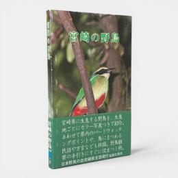 宮崎の野鳥