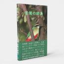 宮崎の野鳥