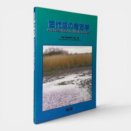 古代湖の考古学