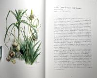 薬用植物画集