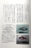 私本奄美の釣魚