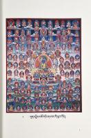 Bonpo thangkas from Khyungpo 〈国立民族学博物館調査報告 76　Bon Studies 10〉（キュンポ地方のボン教タンカ）
