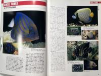 海水魚・海の無脊椎動物1000種図鑑