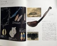 ラッコとガラス玉 : 北太平洋の先住民交易