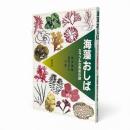 海藻おしば : カラフルな色彩の謎