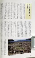 海藻おしば : カラフルな色彩の謎