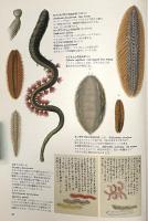 世界大博物図鑑 第1巻 〈虫類〉
