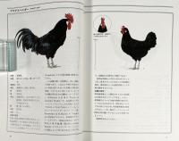 欧州家禽図鑑