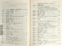 英作文 : 難問題の系統とその解き方 シリーズ8