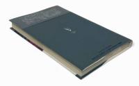 海遊都市 : アーバンリゾートの近代 ジャンルを超えた新視角のコレクション〈叢書l'esprit nouveau5〉