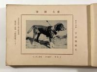 強犬写真帖