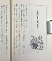 大草原のウサギとネコの物語〈河合雅雄の動物記3〉