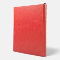 哲学逍遥 : 懐疑主義と動物的信