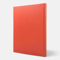 イデアと世界 : 哲学の基本問題