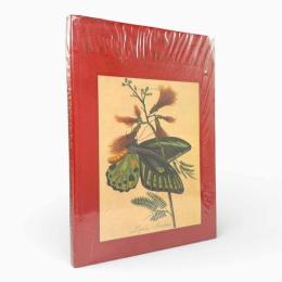 【洋書】Butterflies, moths and other insects〈Classic Natural History Prints〉（蝶・蛾・その他の昆虫）