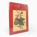 【洋書】Butterflies, moths and other insects〈Classic Natural History Prints〉（蝶・蛾・その他の昆虫）