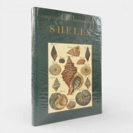 【洋書】Shells〈Classic Natural History Prints〉（貝類）