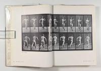 【洋書】Muybridge's Complete human and animal locomotion: all 781 plates from the 1887 Animal locomotion vol.2（人体と動物の運動 第2巻）