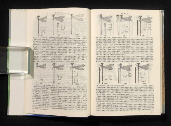 日本昆虫図鑑 北隆館 日本昆虫図鑑: 学生版 | 北隆館編集部 |本 | 通販 | Amazon