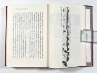 北アルプスの史的研究　