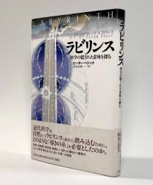 ラビリンス―科学の隠された意味を探る
