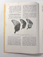 【洋書】The butterflies of the Far-East USSR