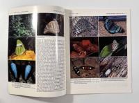 【洋書】TROPICAL LEPIDOPTERA VOL.1 NO.1