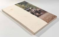 神戸の民俗芸能　兵庫・北編　〈神戸市文化財調査報告書21〉