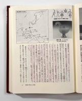 韓国の古代遺跡　新羅篇（慶州）