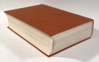 【ドイツ語洋書】Monumenta Germaniae Historica:Benzo von Alba,Sieben Bücher an Kaiser Heinrich IV
