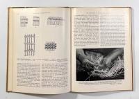 【洋書】The art of taaniko weaving: a study of its cultural context, technique, style, and development（ターニコ織の芸術：文化的背景・技法・様式・発展の研究）
