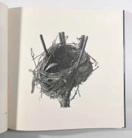 野田弘志画集