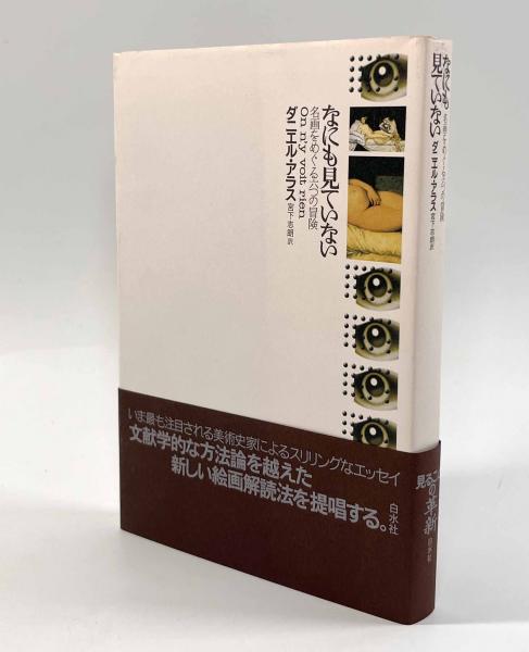 なにも見ていない―名画をめぐる六つの冒険(著者：ダニエル・アラス 