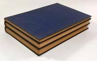 【ラテン語・ギリシャ語洋書】Pollvcis Onomasticon: e codicibvs ab ipso collatis〈Lexicographi Graeci〉3vols.（ユリウス・ポルクスの『オノマスティコン』）