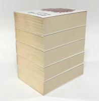 青年の環〈岩波文庫〉全5冊揃い