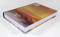 【洋書】The global airline industry（グローバル航空産業）