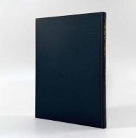 分析法学と現代〈基礎法学叢書9〉