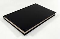 【洋書】Skepticism and the Veil of Perception（懐疑論と知覚のヴェール）