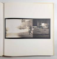 鳥を見る : 野口里佳作品集